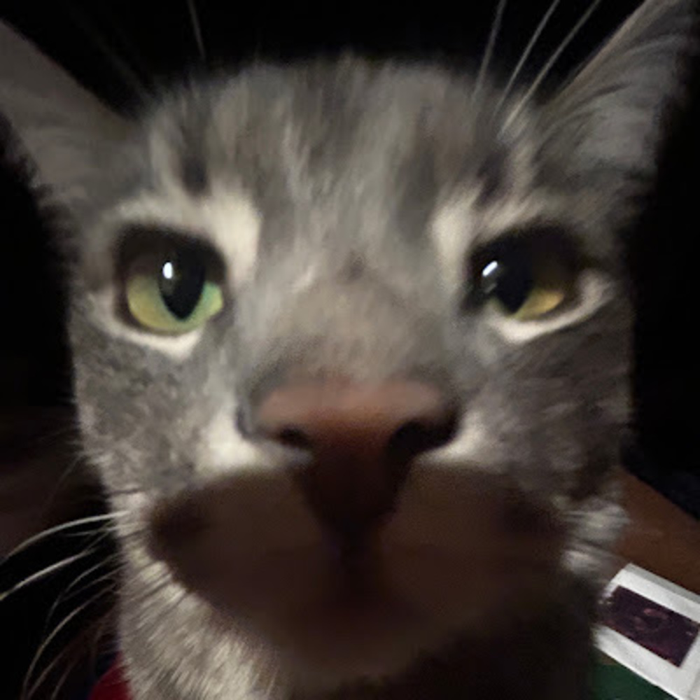 Meet your Posher, Clarisa